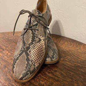 Frye & Co Snake-Embossed Flat lace-up Size 8.5 brand new